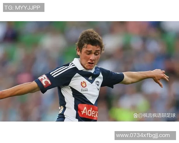 澳甲联赛精彩对决墨尔本迎战阿德莱德争夺胜利荣耀