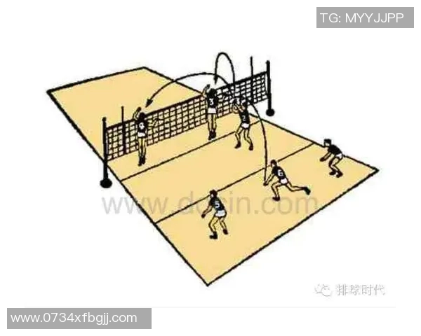 杭州排球队整体压制战术解析与实战应用探讨