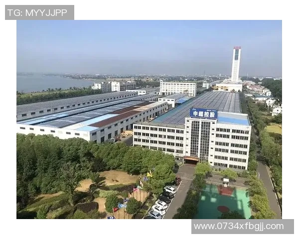 山东魏桥创业与江苏中超电缆的竞争与合作探讨分析