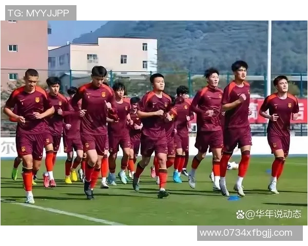 中国足球明星的奢华生活费揭秘与背后的奋斗故事